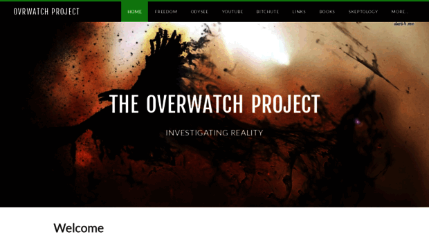 overwatchproject.com