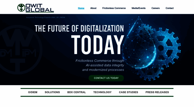 owitglobal.com