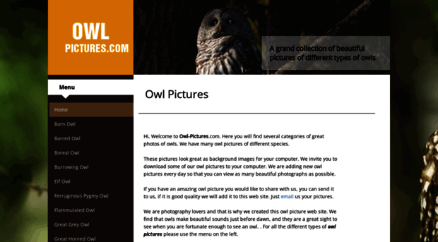 owl-pictures.com