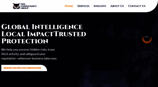 owlconsultancygroup.com