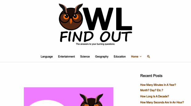 owlfindout.com