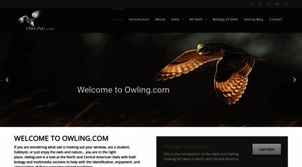 owling.com