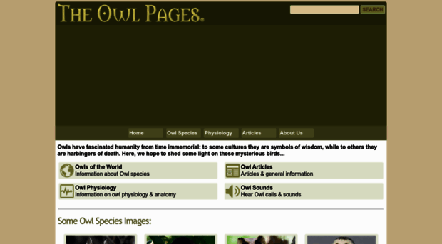 owlpages.info