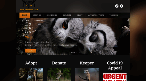 owlrescue.co.uk