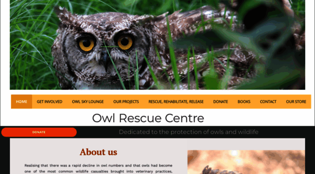 owlrescuecentre.org.za