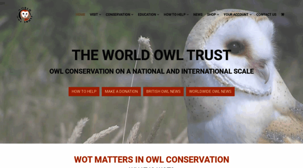 owls.org