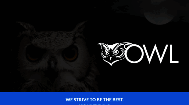 owlunderwriting.com