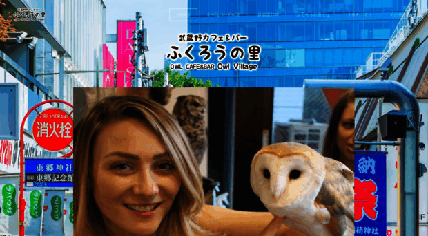 owlvillage.jp