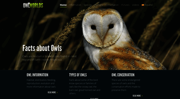 owlworlds.com