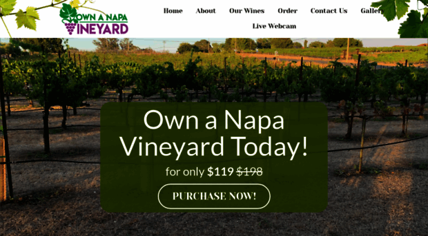 ownanapavineyard.com