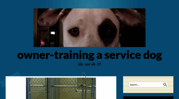 ownertrainingaservicedog.wordpress.com