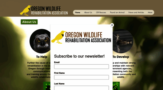 owrawildlife.org