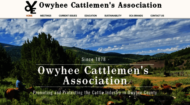 owyheecattlemen.com