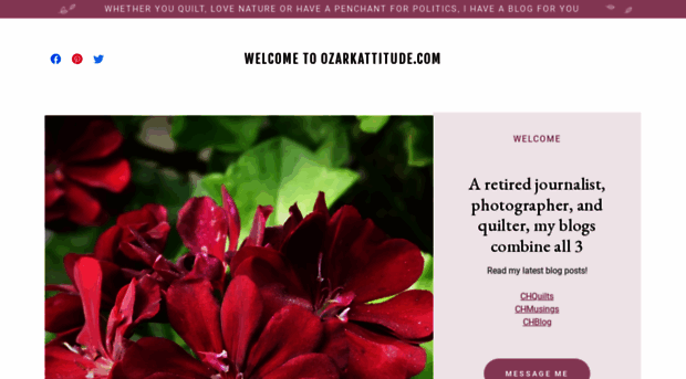 ozarkattitude.com