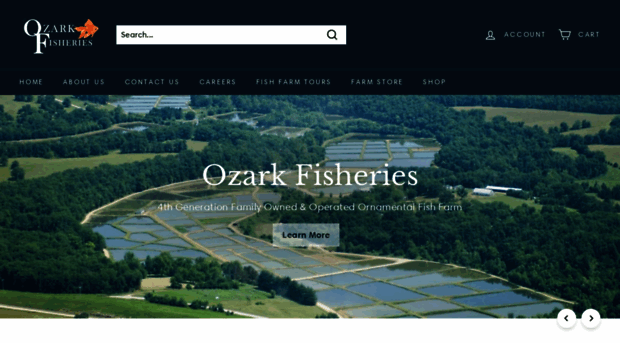 ozarkkoi.com