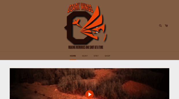 ozarkwings.com