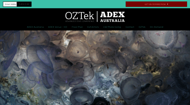 ozdiveshow.com.au