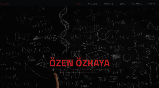 ozenozkaya.com