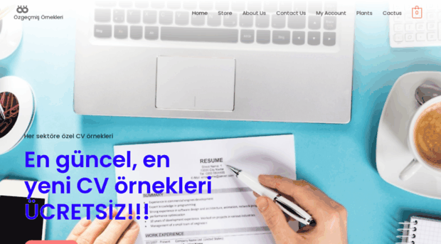 ozgecmisornekleri.com