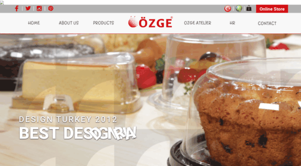 ozgeplastic.com