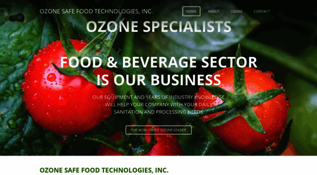 ozonesafefood.com