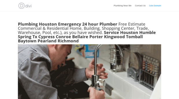 ozplumbinghouston.com