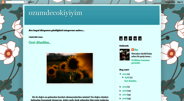 ozumdecokiyiyim.blogspot.com.tr