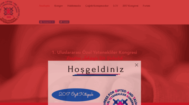 ozyek.com