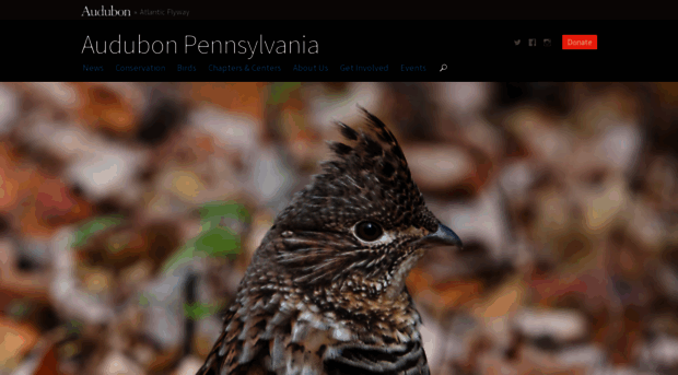 pa.audubon.org