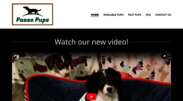 paasopups.com