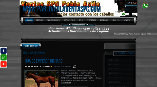 pabloavilaventaspc.com