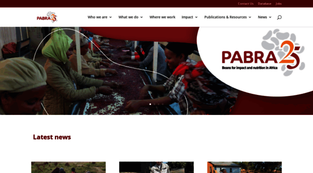 pabra-africa.org