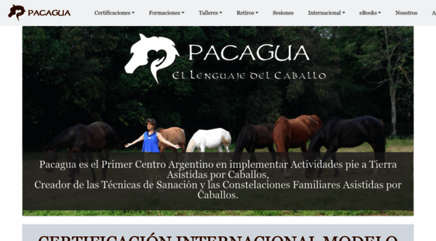 pacagua.com