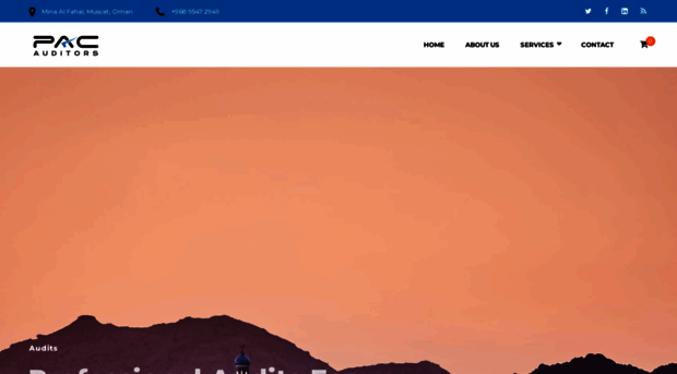 pacauditors.com
