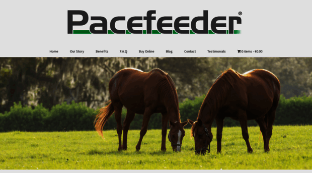 pacefeeder.ie