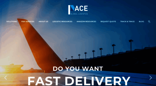 pacegloballogistics.com