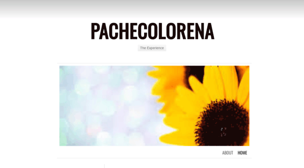 pachecolorena.wordpress.com