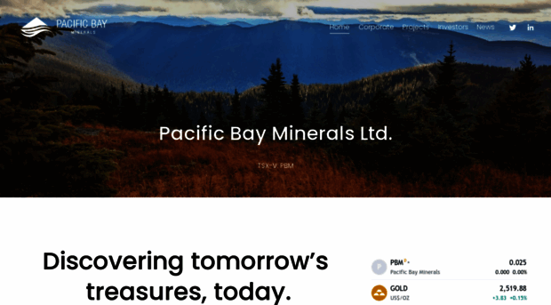 pacificbayminerals.com