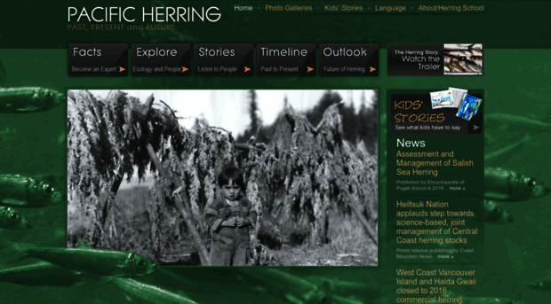 pacificherring.org