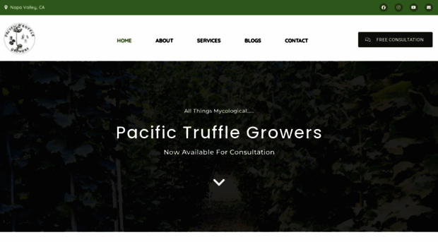 pacifictruffles.com