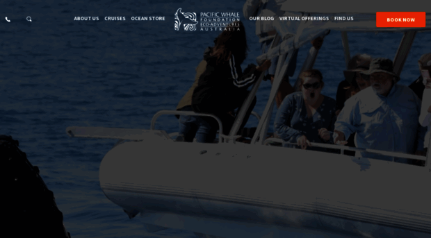 pacificwhale.com.au