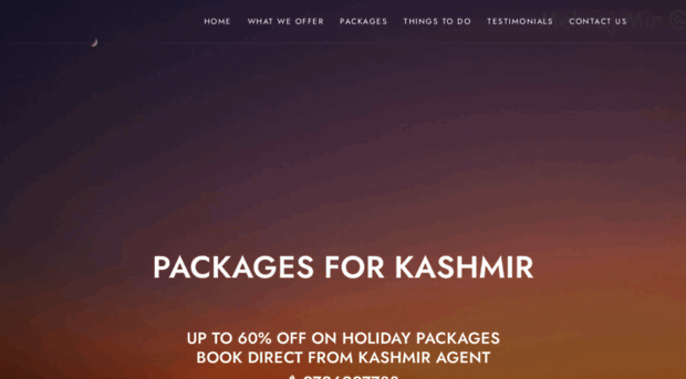 packagesforkashmir.com