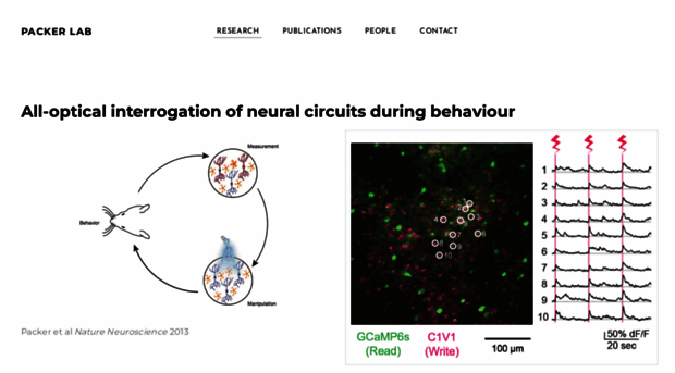 packerlab.org