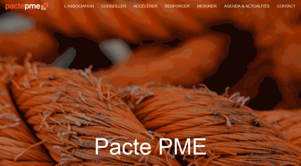 pactepme.org