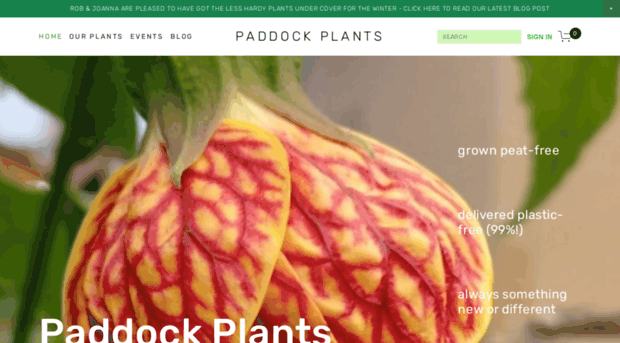 paddockplants.co.uk