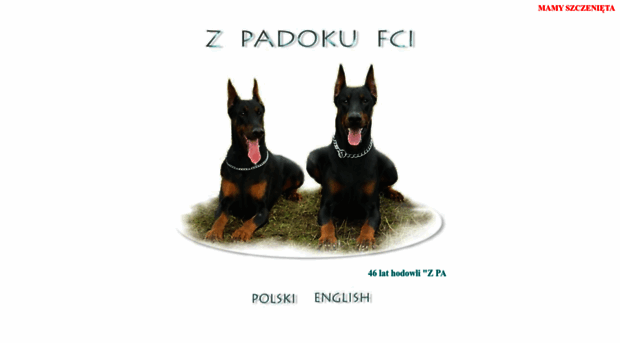 padok.type.pl