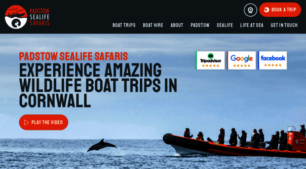 padstowsealifesafaris.co.uk