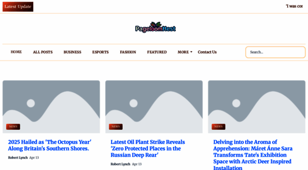 pageloomnest.com