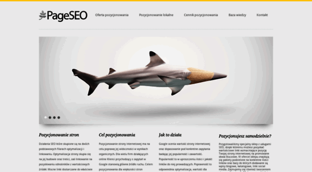 pageseo.pl