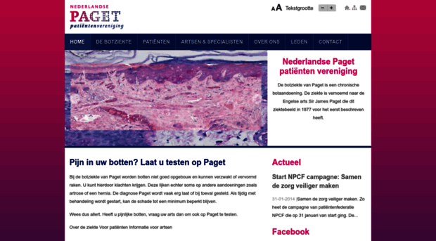 paget.nl